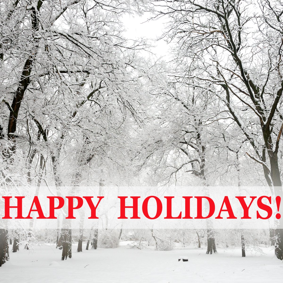 Wishing everyone a happy holidays! #happyholidays