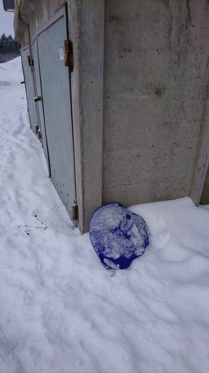 Baudi ziemu, bet nemēslo! Ragaviņas meklē savus saimniekus @OzolniekuNovads.