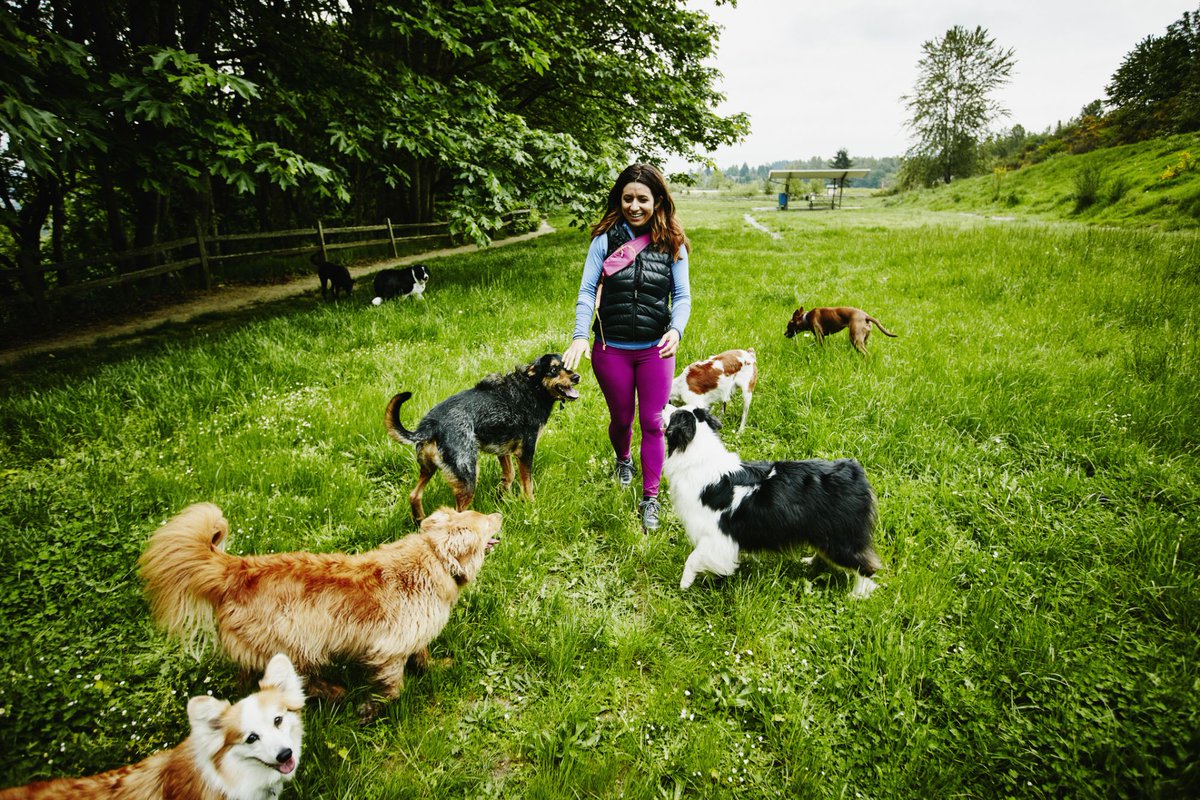 How Stylists, Dog Walkers And More Are Making Six Figures -- And What You Can Learn From Them entrepreneur.com/article/324558