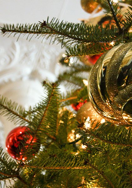 For the Seventh Generation would like to wish a safe and warm holiday to all of the families out there! 
#fortheseventhgeneration #fostercare #fostercaredetroit