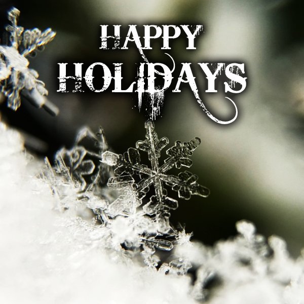 Badgerbuilding's tweet photo. Happy Holidays! https://t.co/aPCmhBIZKE