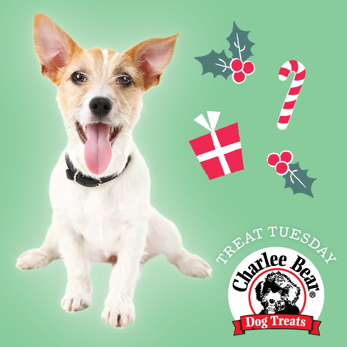 charleebeartrts's tweet photo. RT and tell us why your #dog is on the naughty (or nice) list for a chance to #win treats! #giveaway https://t.co/f5DOLM6Zsm