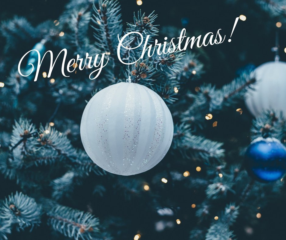 The Blue Owl tweet media