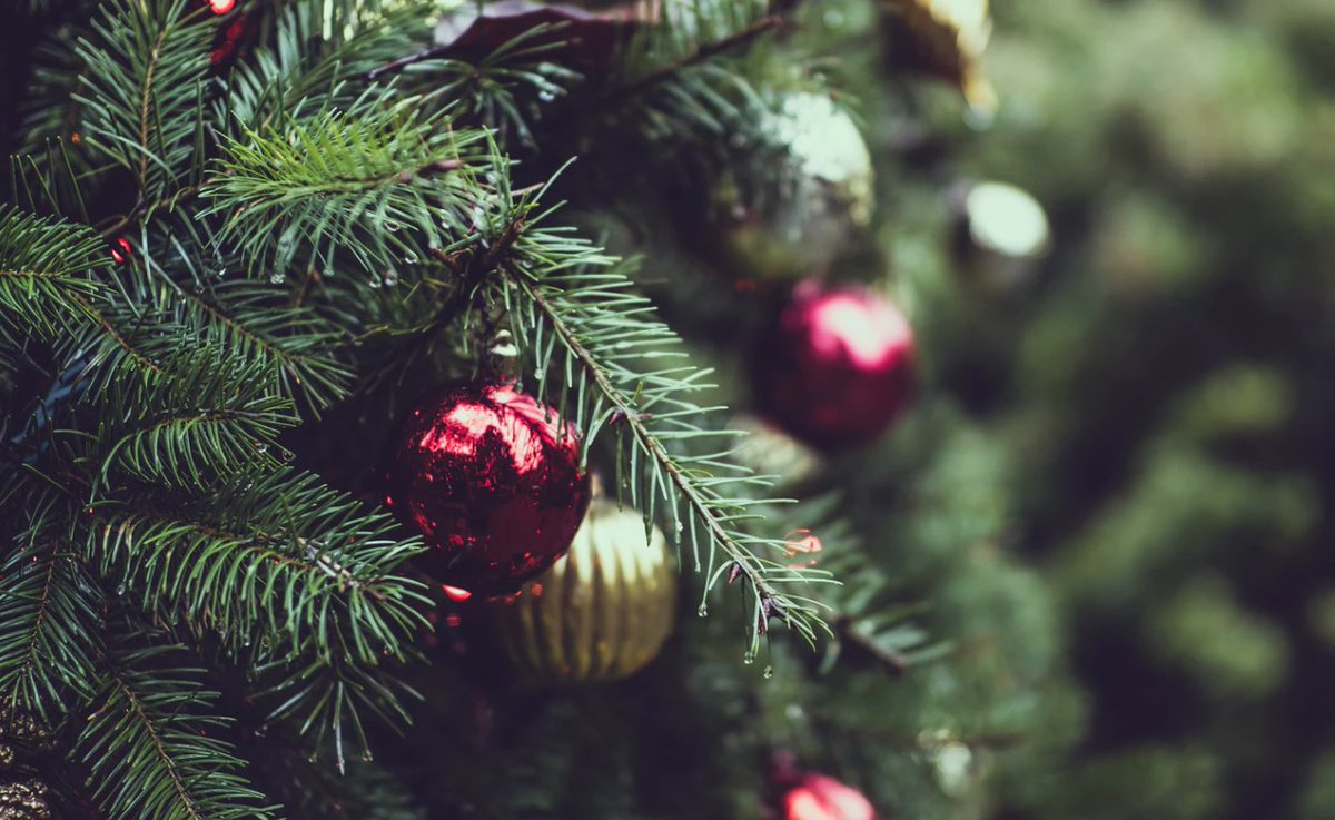 West 7 Center tweet media