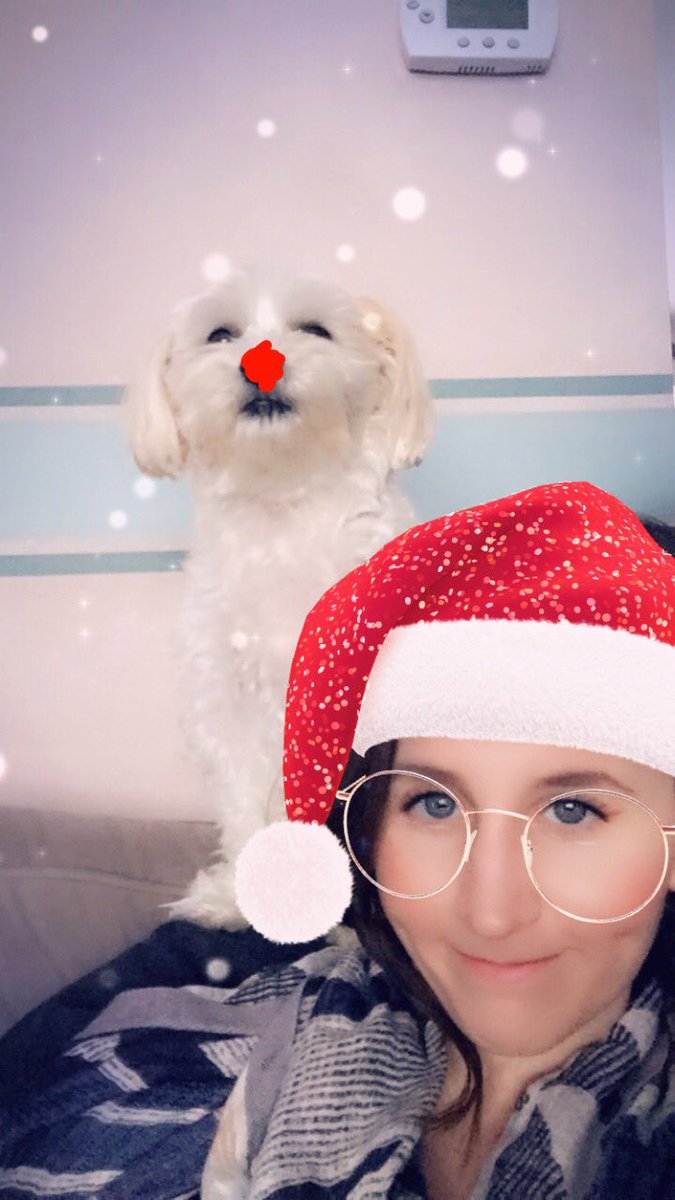 dog_brewer's tweet photo. My best friend @DBoss_04 and I wish everyone very Merry Christmas! https://t.co/3Tx2X1W1AY
