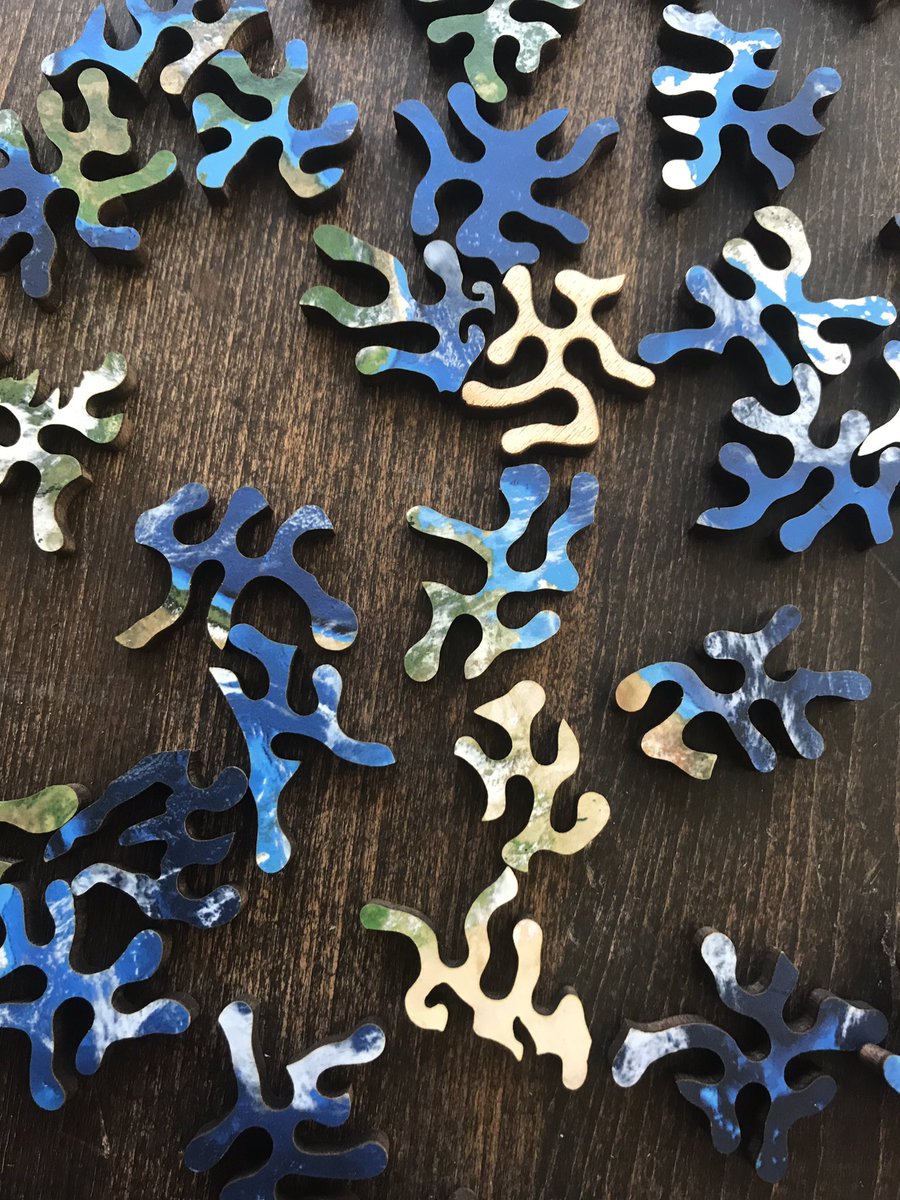 mikeandallie's tweet photo. Every @nervous_system puzzle begins on puzzle level “hopeless” https://t.co/NVyBuQNs2b