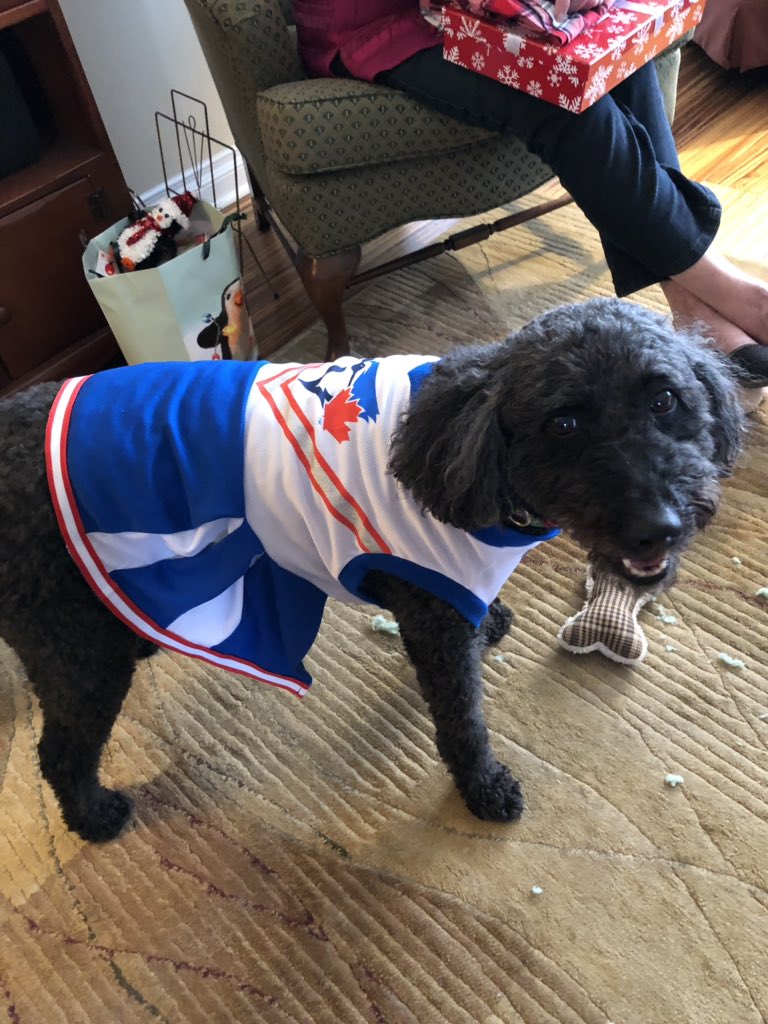 HeidiF_Library's tweet image. Rockin her new @BlueJays swag.  Merry Christmas! can’t wait for next season and @RogersCentre maybe #barkinthepark ? Please!