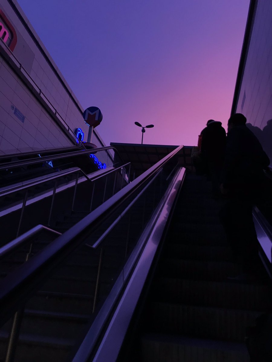 Mahmoud S Bilal tweet media