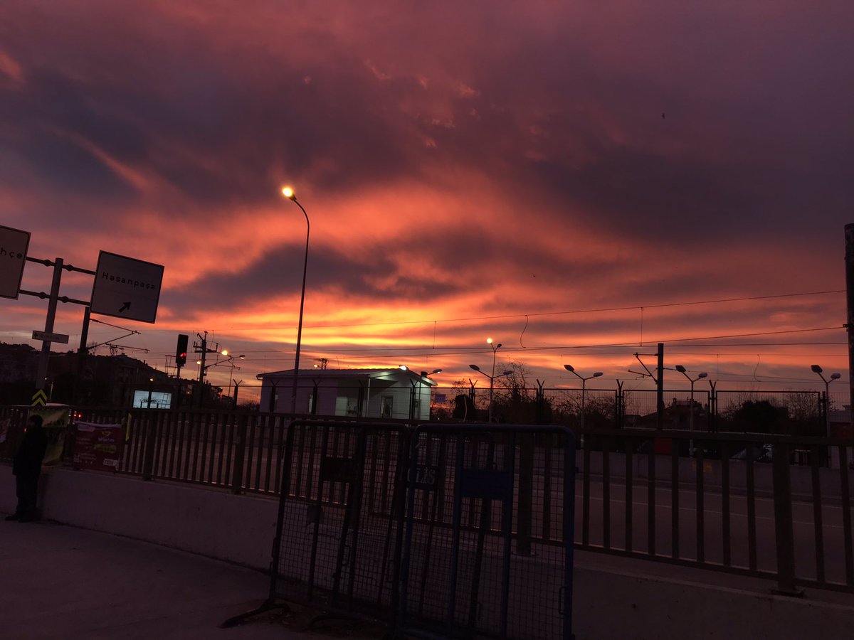 Mahmoud S Bilal tweet media