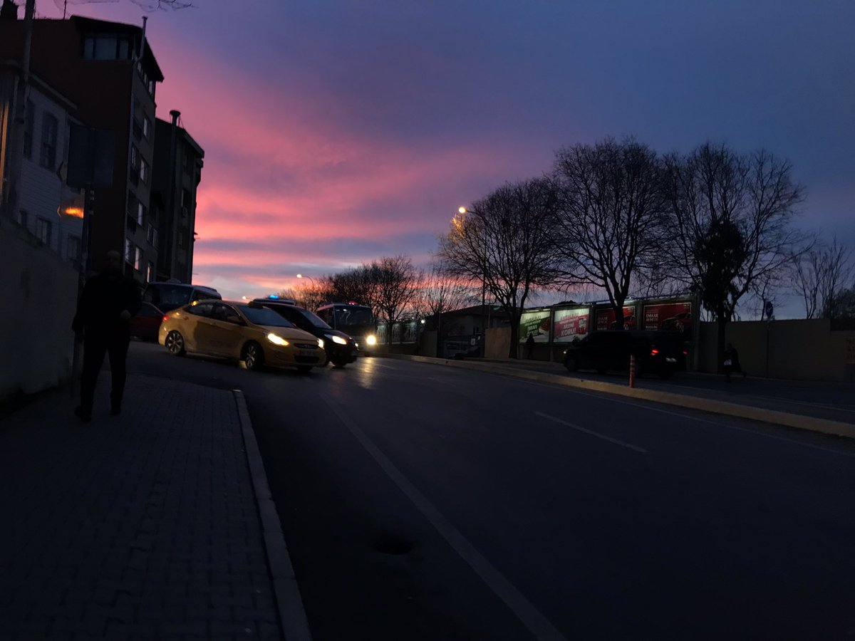 Mahmoud S Bilal tweet media