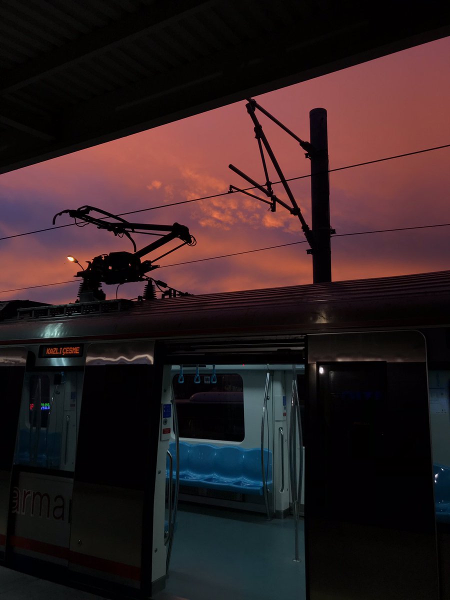 Mahmoud S Bilal tweet media