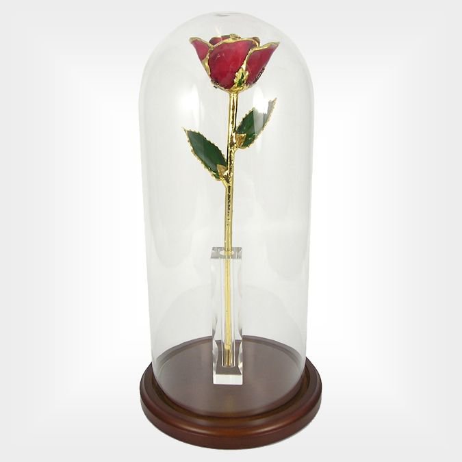 ༺ ❛ Merry Christmas <a href="/HarmlessCullen/">Alice Cullen</a> 
 You've always been greatly loved by me.
As one family member to an other. ❜