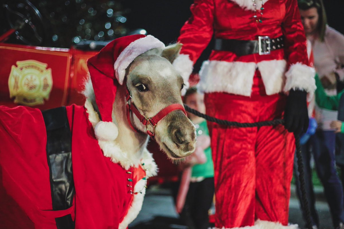 UCF_Knugget's tweet photo. It me. Merry Christmas ya filthy animals. https://t.co/cxYWqmKkIr