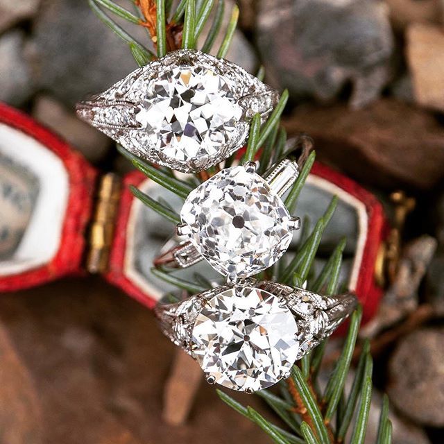 Indiewed's tweet photo. Hope everyone is having a Happy Holidays. Did anyone wake up with something like this under their tree? 🎄 photo via @eragemjewelry who has the prettiest collection of vintage engagement rings .
.
.
.
.
#indiewed #indiewedding #chicago #chicagowedding #chicagoweddinginspirati… https://t.co/7tFryNKwWk