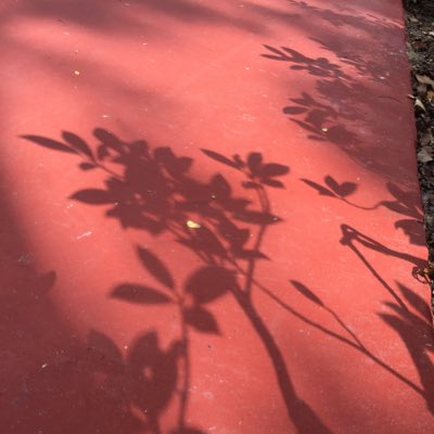 pigmug's tweet photo. #NewProfilePic (新個人資料照片) https://t.co/CWawkc7sdp