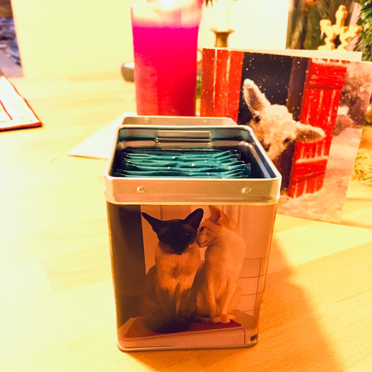 Sammy & Felino (@sammyfelino) on Twitter photo Mum had teary eyes when she opened a very special xmas parcel from <a href="/theruffriderz/">TheRuffRiderz</a> ! #TheRuffRiderz <a href="/basset_bella/">Angel Bella ๐๐๐พ๐ถ</a> <a href="/ToddyFur/">Toddy Furrington</a> <a href="/Deadlysecret007/">Ginger & Romeo,</a> <a href="/OscartheDog_ARM/">Oscar the Dog #ONEFORALL</a> Mum had teary eyes when she opened a very special xmas parcel from <a href="/theruffriderz/">TheRuffRiderz</a> ! #TheRuffRiderz <a href="/basset_bella/">Angel Bella ๐๐๐พ๐ถ</a> <a href="/ToddyFur/">Toddy Furrington</a> <a href="/Deadlysecret007/">Ginger & Romeo,</a> <a href="/OscartheDog_ARM/">Oscar the Dog #ONEFORALL</a>