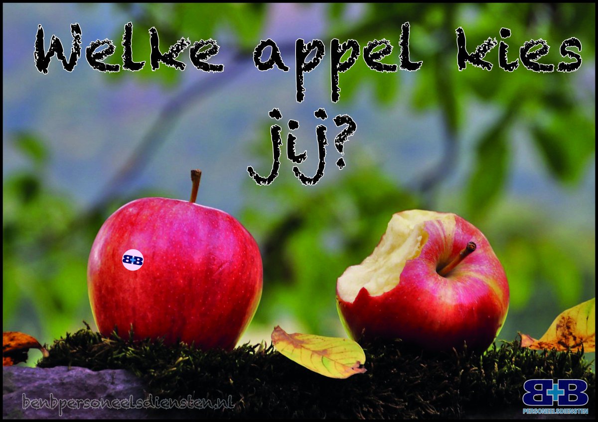 B+B Meppel tweet media