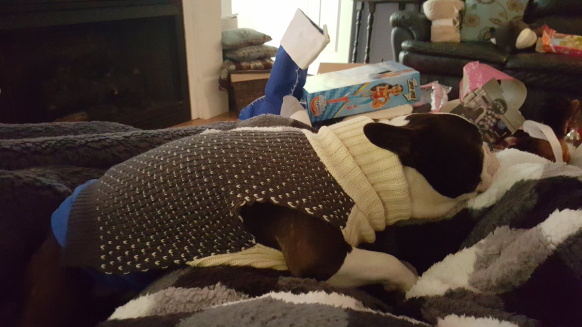 LannyMixon's tweet photo. His first #Christmas with us wore him out. #clyde #bostonterrier #hardknockslife #wildman https://t.co/yK8WitMHrN