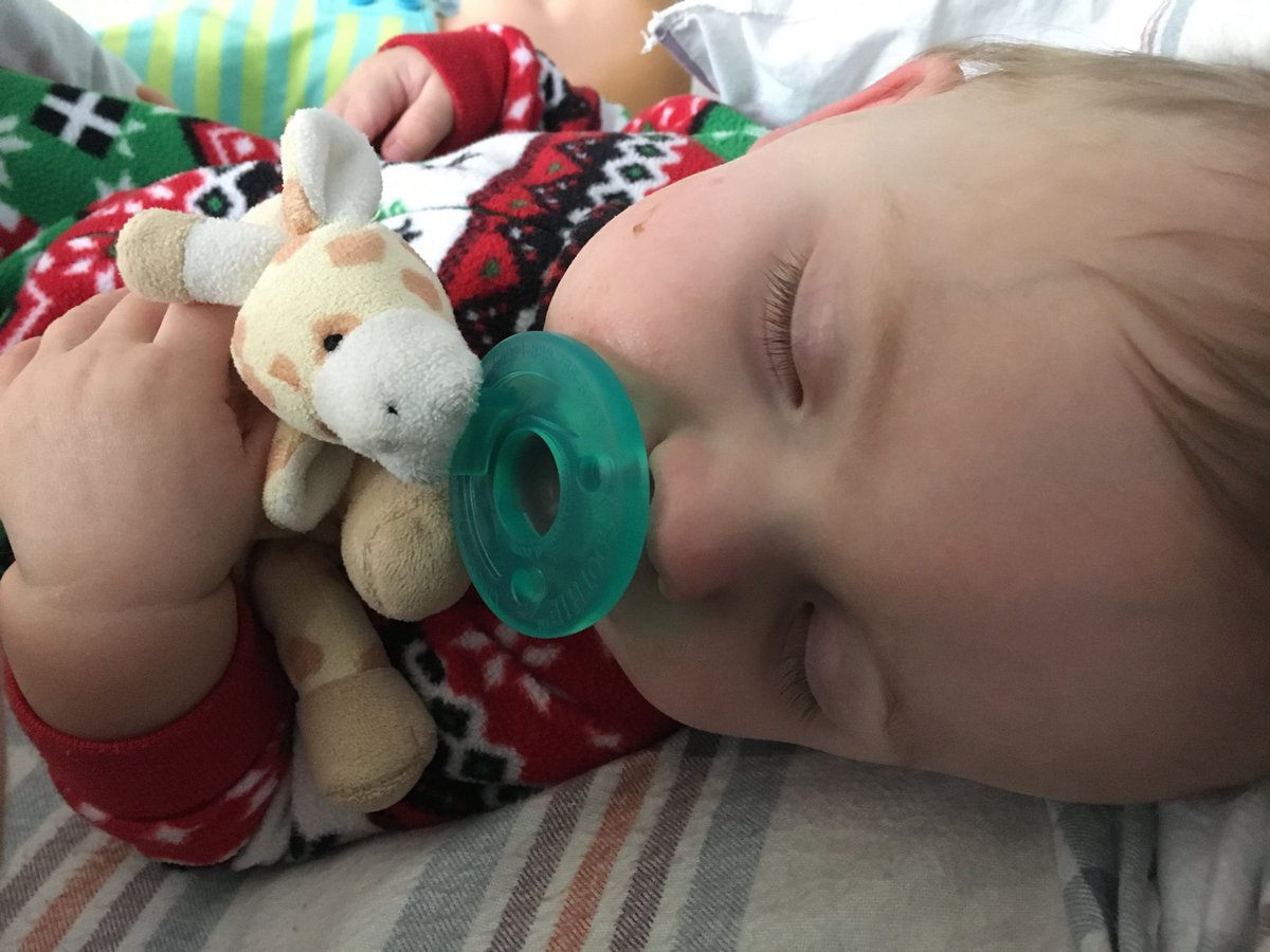 ClermontProf's tweet photo. Resting between Xmas gifts #BGDE https://t.co/XvEMzkF85U