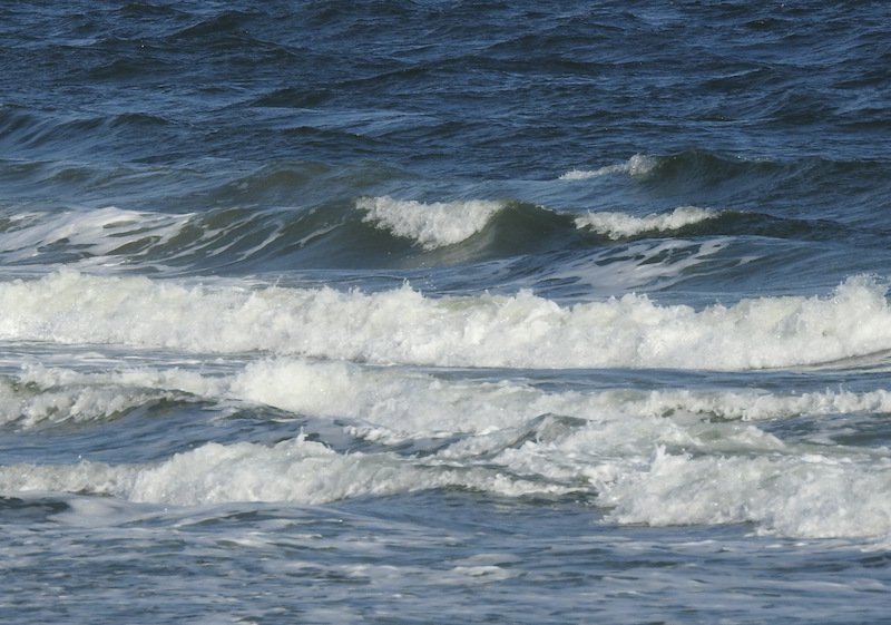 CorollaSurfShop's tweet photo. I think the best plan for today is to stay warm, spend time with your family &amp; friends. The wind is out of the ENE at 11 mph &amp;  choppy surf. Wave height is around thigh to waist high with an outgoing tide:  MERRY CHRISTMAS, HAVE A SAFE AND HAPPY 2019! (catch lots of surf!) https://t.co/oE98Ctjrlj
