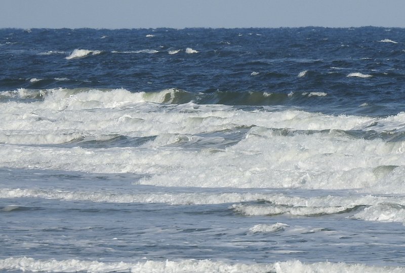 CorollaSurfShop's tweet photo. I think the best plan for today is to stay warm, spend time with your family &amp; friends. The wind is out of the ENE at 11 mph &amp;  choppy surf. Wave height is around thigh to waist high with an outgoing tide:  MERRY CHRISTMAS, HAVE A SAFE AND HAPPY 2019! (catch lots of surf!) https://t.co/oE98Ctjrlj