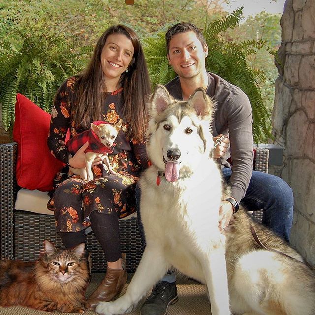 Colorado1788's tweet photo. Merry Christmas!! (Yes, I cropped the cat in) 😂 @flashgordon9 @tailsofsakura https://t.co/UYMMz7eAXP https://t.co/M8sMD0whGv