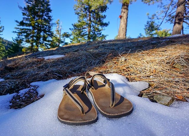 earth_runners_'s tweet photo. Don’t forget your socks 🧦 Happy Holidays from Earth Runners! ☃️👣 .
.
.
.
#wimhofmethod #earthrunners #barefoothiking #earthingshoes #earthing #returntonature #wearewildness #takemetothemountains #alpinehike #rewildyourlife https://t.co/sRuP6hSEeS Don’t forget your socks 🧦 H… https://t.co/tpvcANOInY
