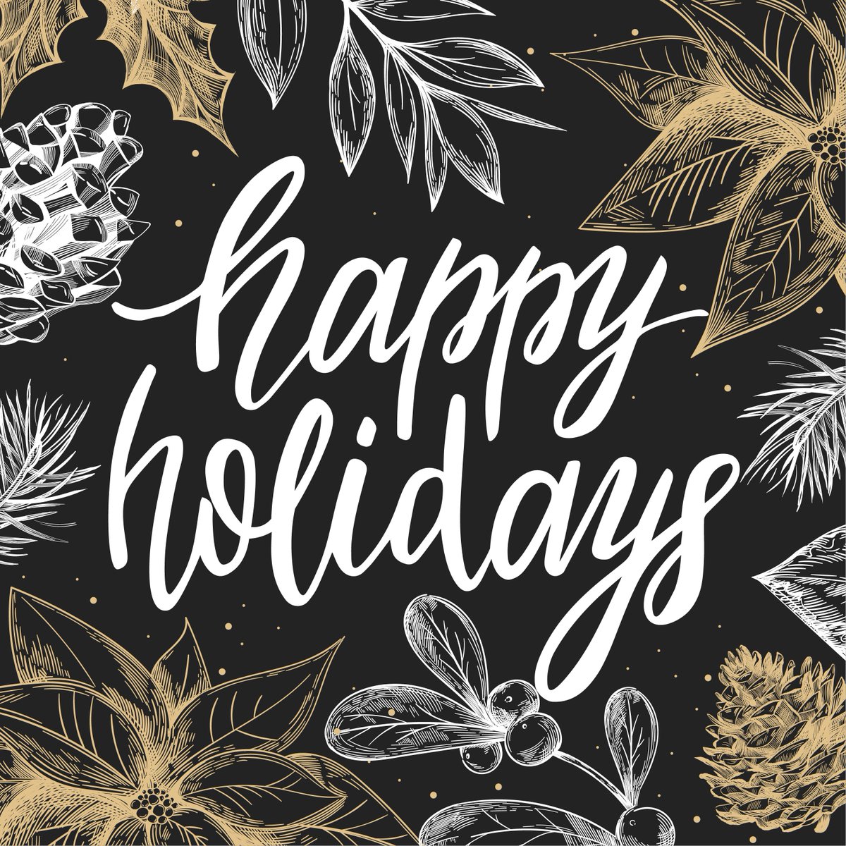 chestnutpl's tweet photo. May your day be merry and bright! ✨🎁🎄 https://t.co/BEJ2YhAy7O