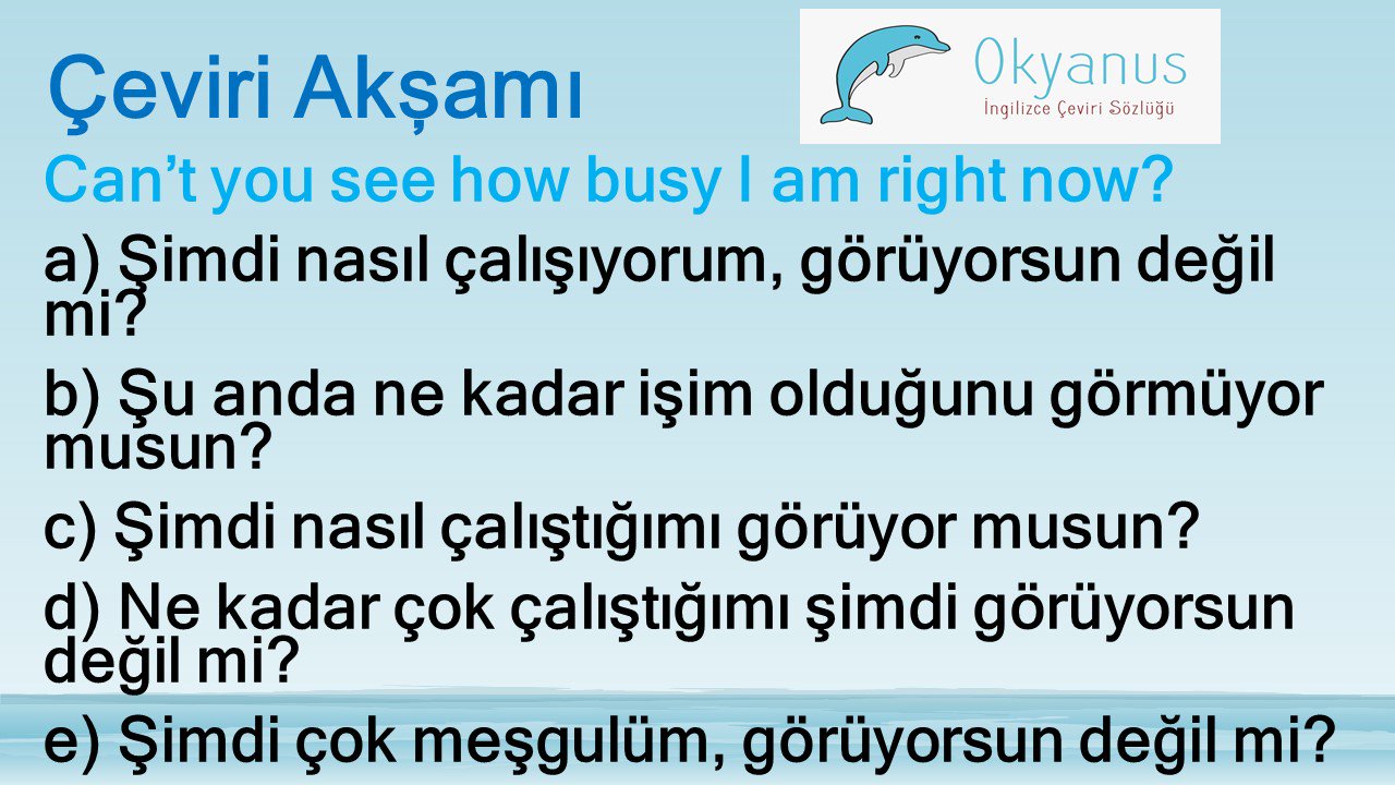 Google Ceviri