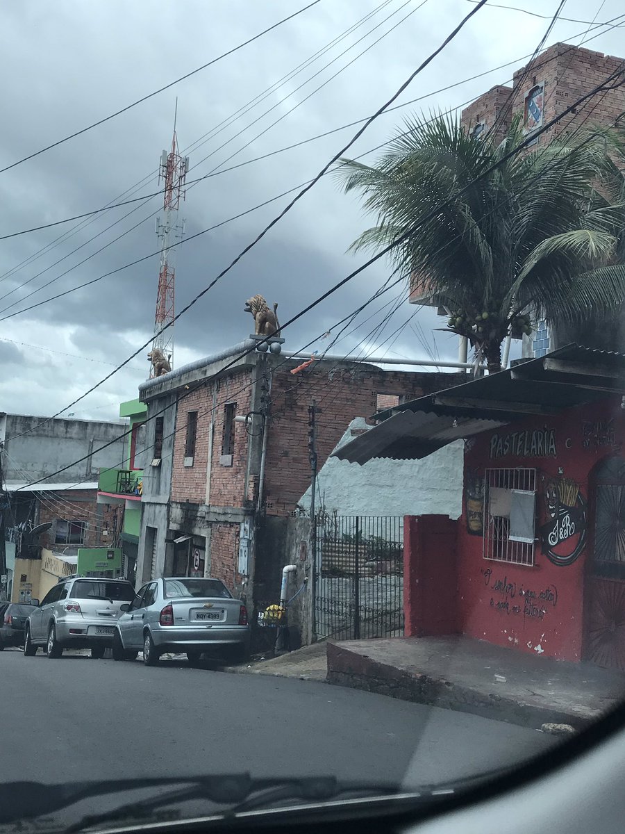 luizasreis's tweet photo. mano o cara tá simplesmente construindo um MINI CASTELO no meio da compensa com direito a leão dourado, torre e brasão nas janelas https://t.co/8Su9s7Vxu9