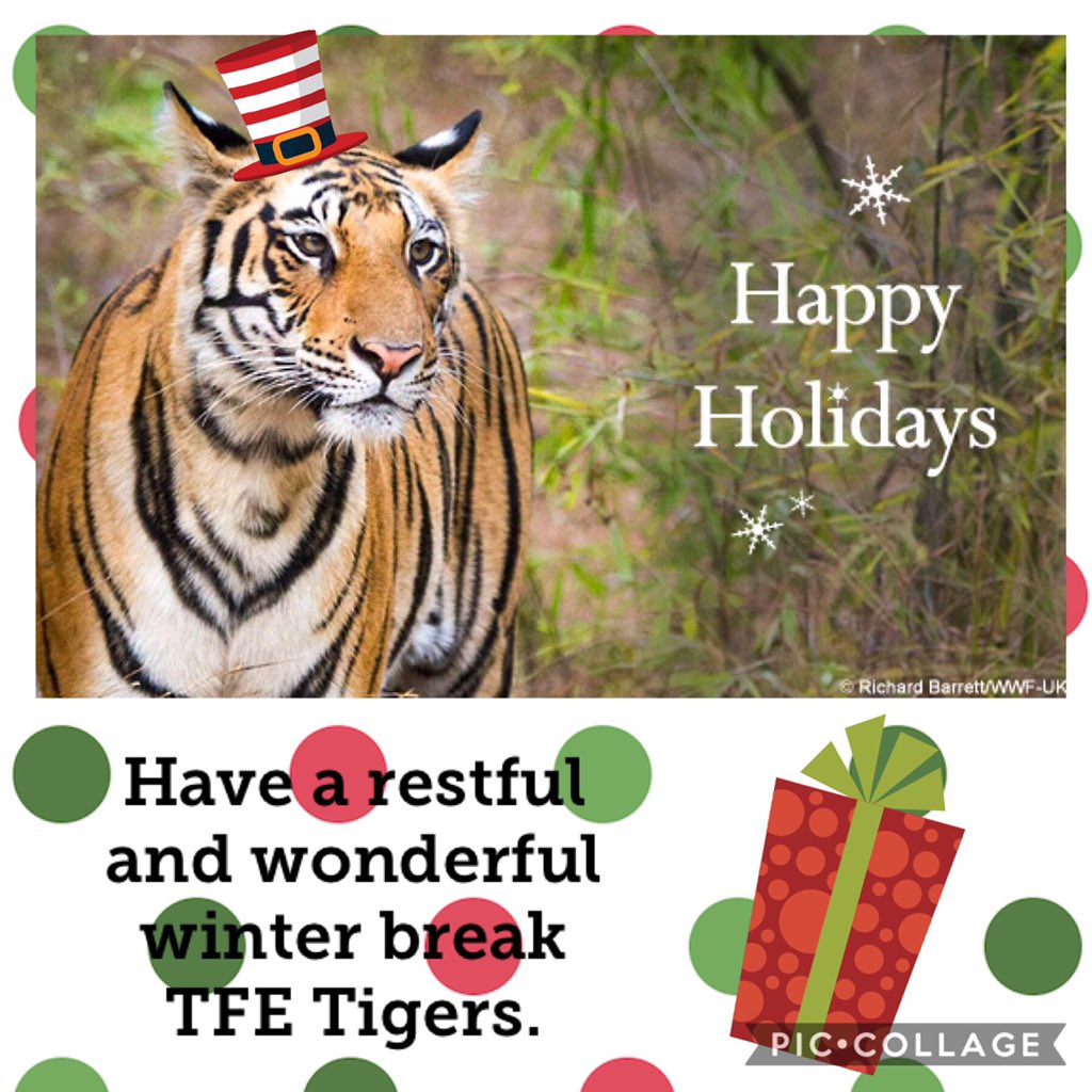 Treasure Forest Elem tweet media