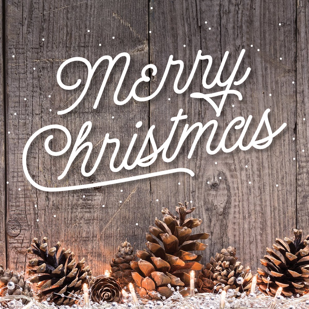 McDougalProps's tweet photo. Merry Christmas from all of us at McDougal. Have a wonderful and safe holiday! 🎄 https://t.co/SPgGmSwpOe