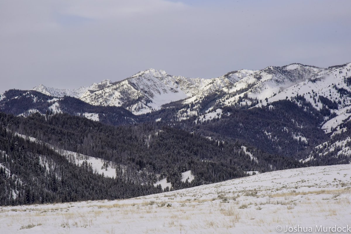 elephantsperch's tweet photo. Merry Christmas, from The Elephant's Perch. Get out there and enjoy the mountains! #Mountains #Scenic #Winter #Snow #Christmas #Ski #Skiing #Galena #Ketchum #SunValley #Idaho https://t.co/ypCcqMzhzU