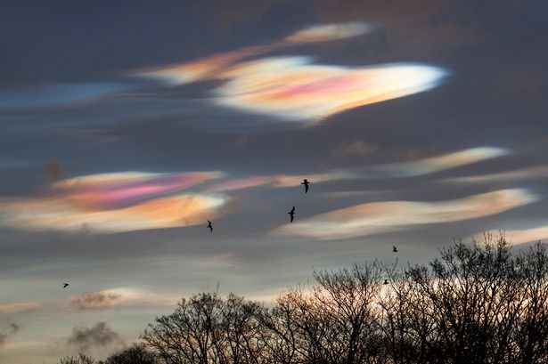 Talisman_Ist's tweet photo. #SedefBulutu #Nacreous #Scotlandnow #DailyRecord https://t.co/eKT7X0YjA9