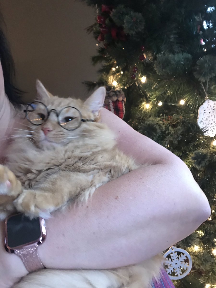 Heidi_Imhoff_'s tweet photo. finally my cat can see clearly https://t.co/fweYkydpoz