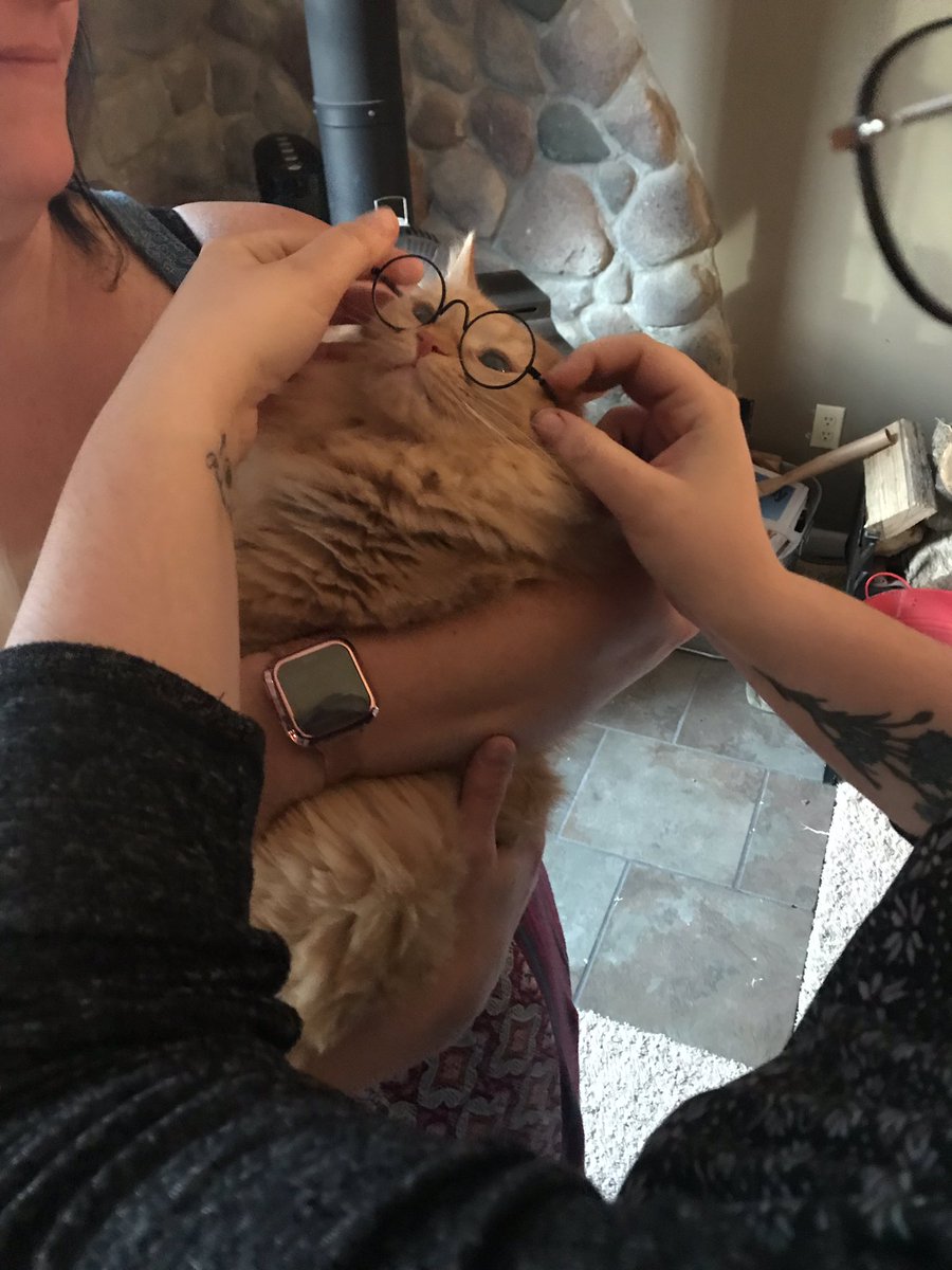 Heidi_Imhoff_'s tweet photo. finally my cat can see clearly https://t.co/fweYkydpoz