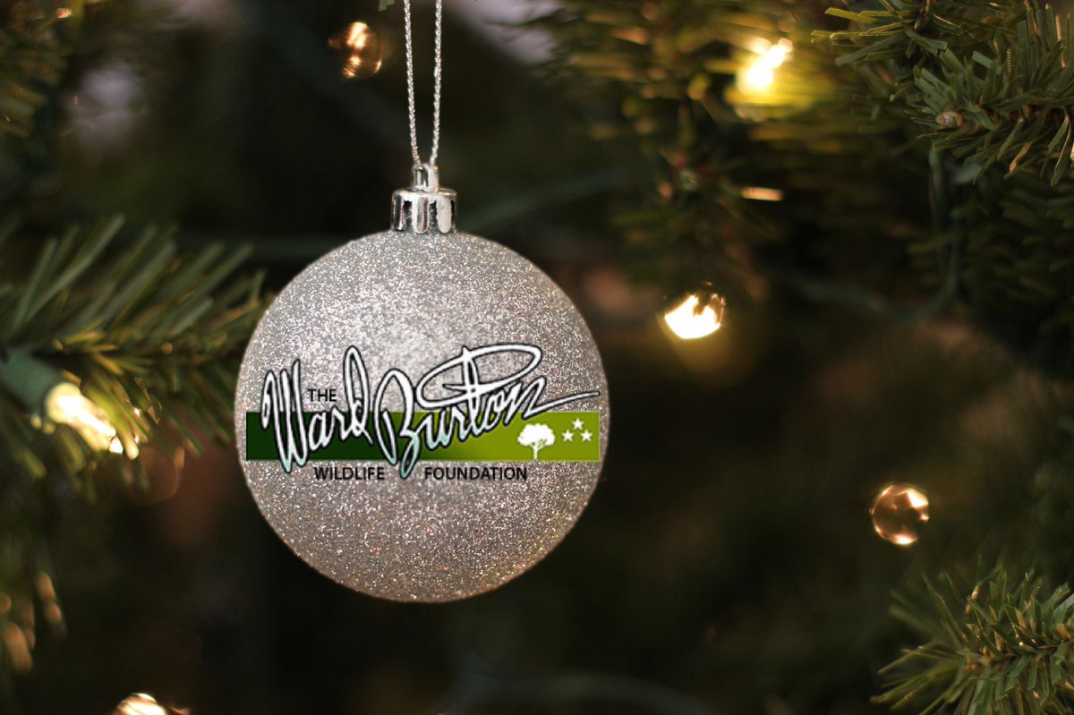 WardBurtonWBWF's tweet photo. 🎄🎁 https://t.co/xCgfRpGBrw