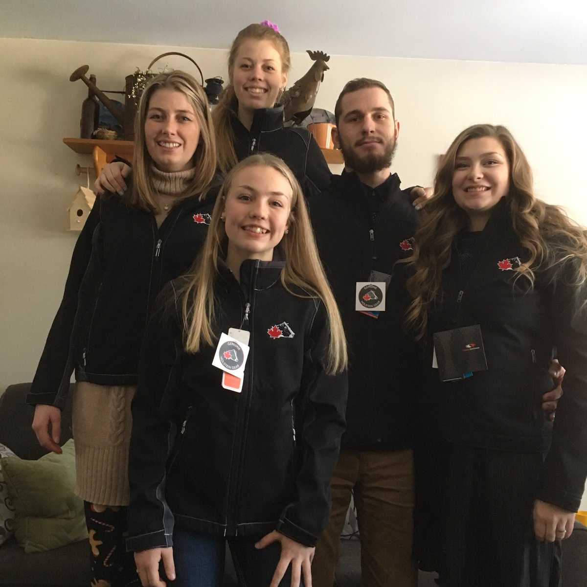 Holstein swag #lincswold