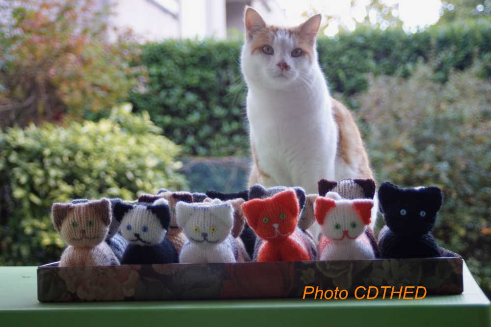 CdthedHandicap's tweet image. #Roudoudou, sa petite famille et le CDTHED vous souhaitent un joyeux Noël ! 😃

Bonnes fêtes à toutes et à tous, et à bientôt. 😃