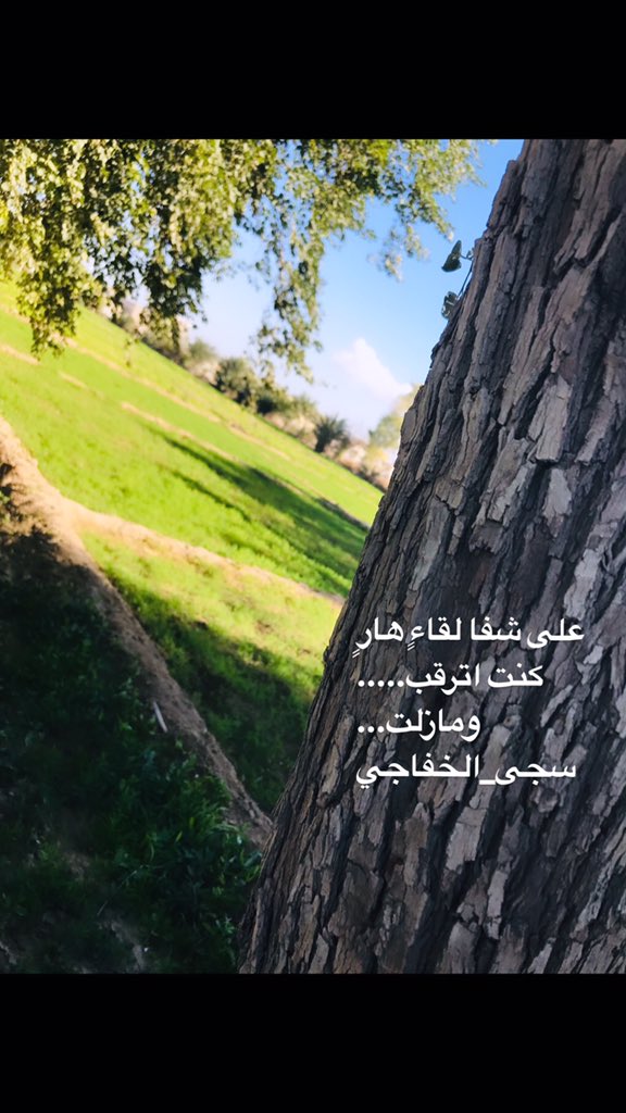 Saja Alkhafaji (@sajaakafaji) on Twitter photo 