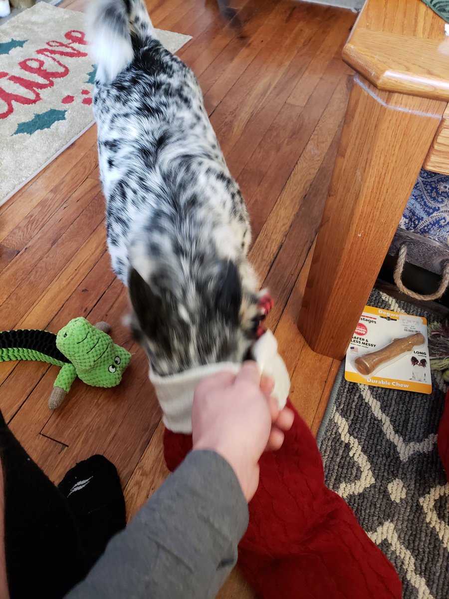 _JakeAllen's tweet image. You know the pup gets spoiled too