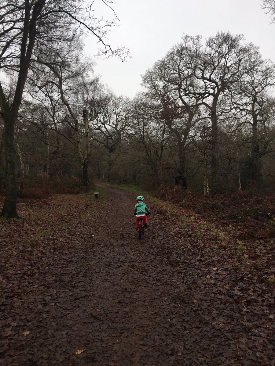 FastR1er's tweet photo. Henry’s Xmas Day MTB ride at Sherwood Forest... clocked up 3.1 miles for #DashThroughDecember @HeronClass @norbridge315 @LauraBurrell19 #FindYourEpic https://t.co/5v38iYhiZJ