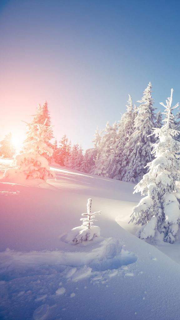 I wish all my friends a happy new year🕊️
Best wishes for a happy New Year!