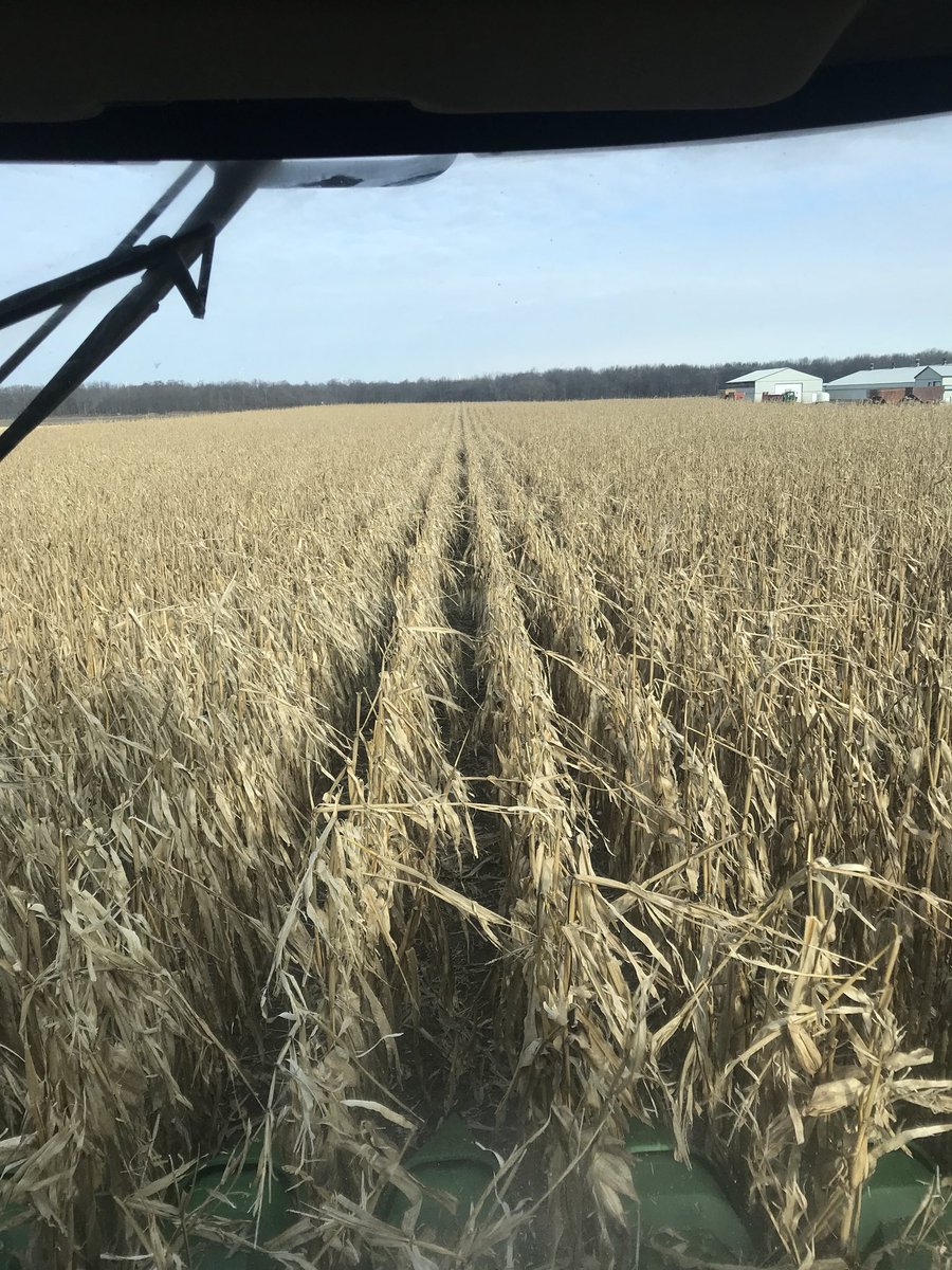 dfdymond's tweet photo. Nice conditions to get last 18acres off. Merry Christmas. https://t.co/84hcny1Hix