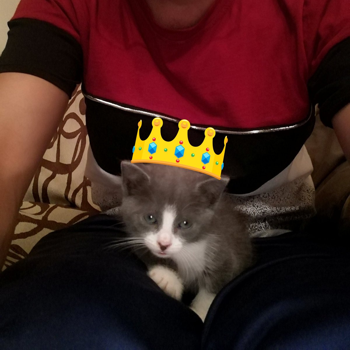 javilopez406's tweet photo. https://t.co/ymxxEpCP8P