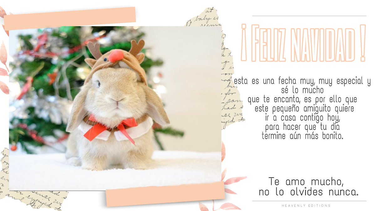 puticandys's tweet photo. Para: @txrnxdo_ 
De: Tu rey, amo y señor. https://t.co/Vl9ri8CIQo
