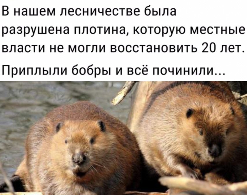 Рождественская ярмарка во Львове полностью возобновляет свою работу - Цензор.НЕТ 2538