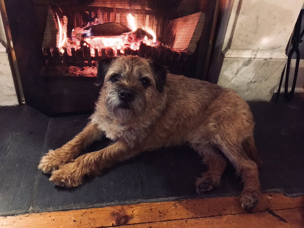 🎶 BT roasting by an open fire 🎶 Merry Christmas furs! #cooking