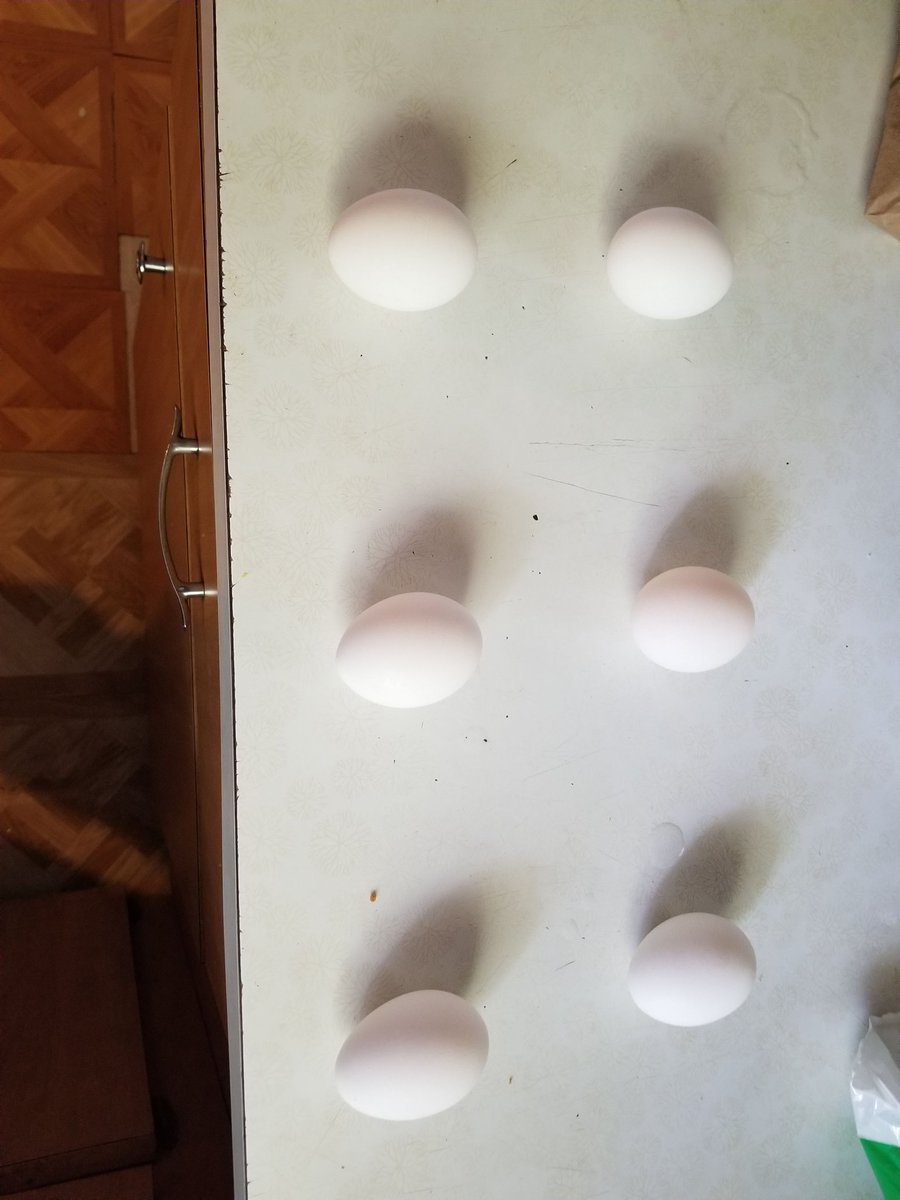 WearingMan's tweet photo. I am baking a cake that calls for 6eggs separated.  Will this work? https://t.co/NN7Rw2J1kJ