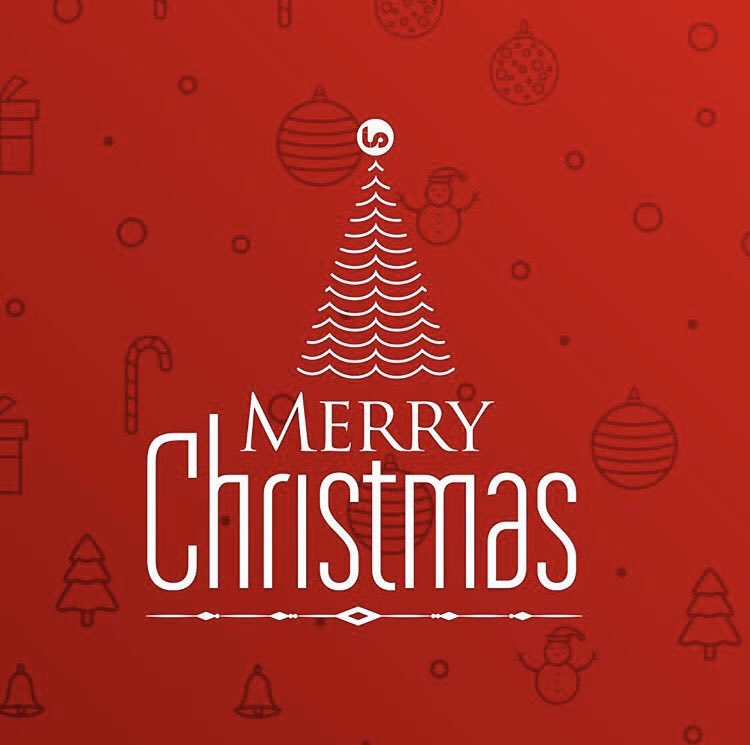 lyncserve's tweet photo. Merry Christmas and best wishes for a bright new year!✨ https://t.co/axFFLzKbKL